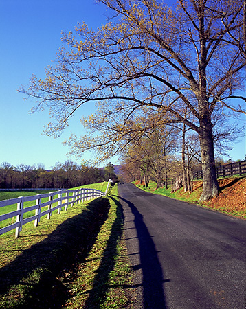 Road to Greenwood in Early Spring, Albemarle County, VA